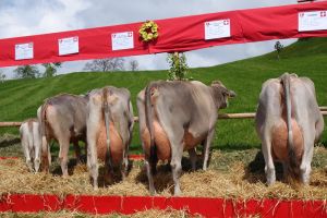 2Jasmin Durrer Arnold Kerns